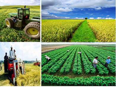 Xây dựng nông thôn mới gắn với cơ cấu lại ngành nông nghiệp